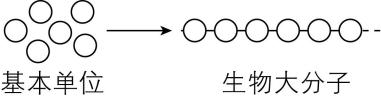 试题资源网 https://stzy.com