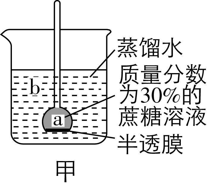试题资源网 https://stzy.com