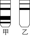 试题资源网 https://stzy.com