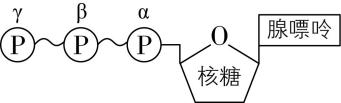 试题资源网 https://stzy.com