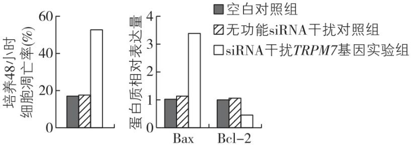 试题资源网 https://stzy.com