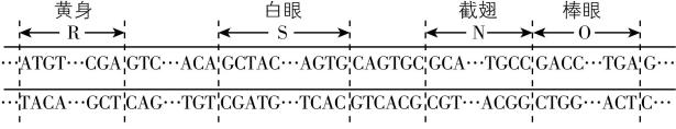 试题资源网 https://stzy.com