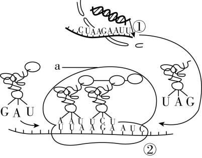 试题资源网 https://stzy.com