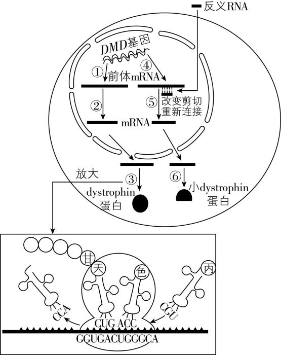 试题资源网 https://stzy.com