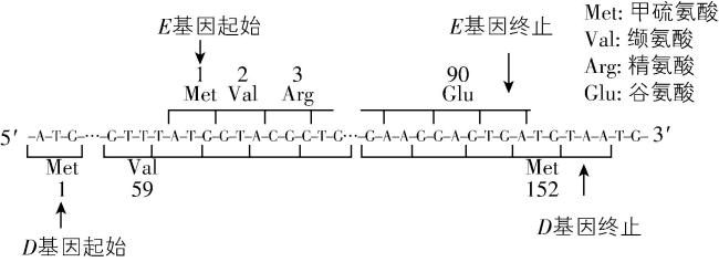 试题资源网 https://stzy.com