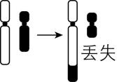 试题资源网 https://stzy.com