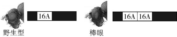 试题资源网 https://stzy.com