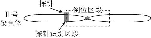 试题资源网 https://stzy.com