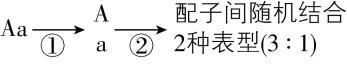 试题资源网 https://stzy.com