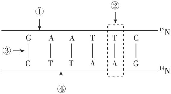 试题资源网 https://stzy.com