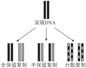 试题资源网 https://stzy.com