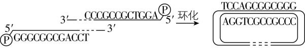 试题资源网 https://stzy.com