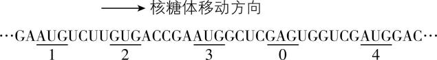 试题资源网 https://stzy.com