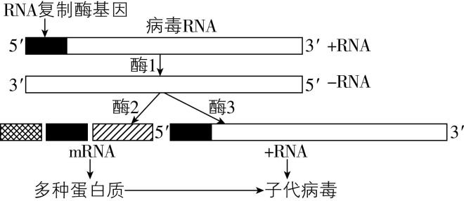 试题资源网 https://stzy.com