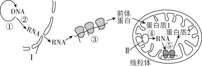 试题资源网 https://stzy.com