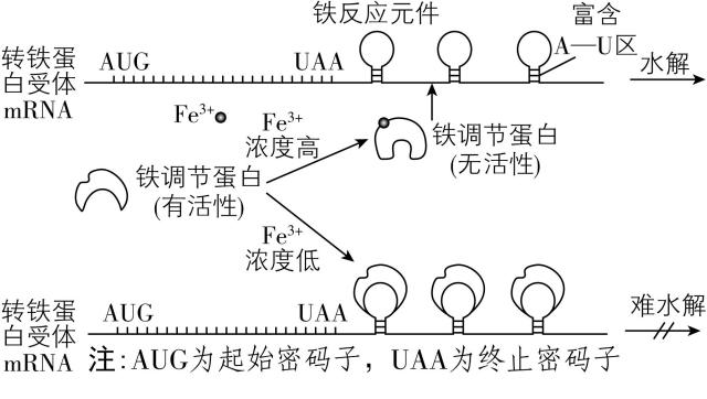 试题资源网 https://stzy.com